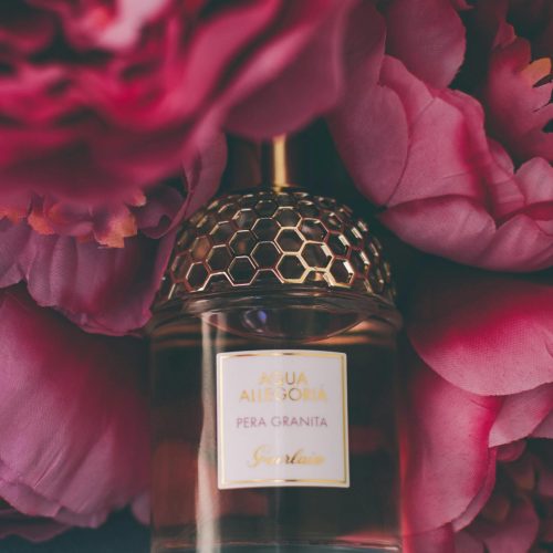 pexels-valeriya-965730